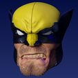 head02_02.jpg Wolverine 1/12 Kopfskulptur