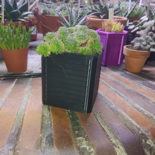 Square flower pot 3D model