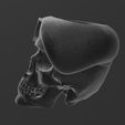 CraneoBoina2.jpg Skull Skull Skull Cranium Beret - Military - Matte/Potted