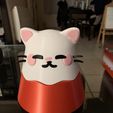 Kawaii Cat Loot Box - Print-in-Place - No Support