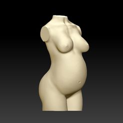 pregnant-woman-4-copy.jpg Pregnant Torso Woman