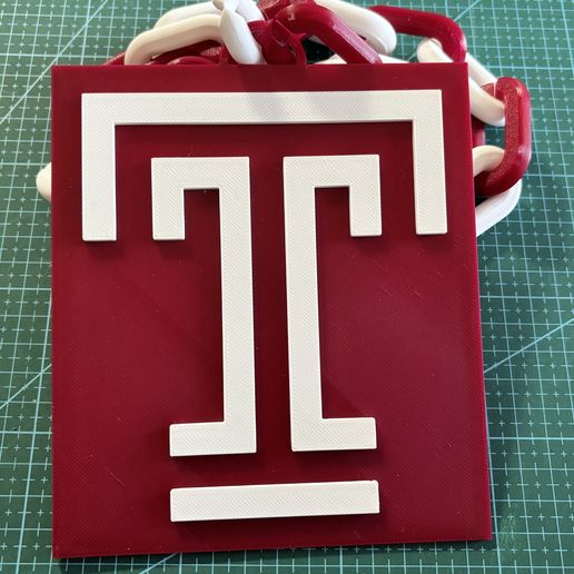 IMG_0744.jpeg Temple Owls Chain