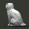 scottish-fold-cat-3d-model-41e8bf1c39.jpg Scottish fold cat 3D print model
