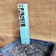 20240204_105211.jpg Plant Label Basil