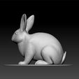 ZBrush-Documend.jpg rabbit