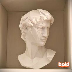d1.jpg David low poly lamp