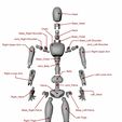 FileNames.jpg Flexybones Articulated Action Figure Poseable Mannequins