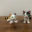 Busya the print in place flexible toy cat