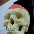 20221122_204249.jpg Realistic 3D Sculpture of Open Human Skull with Exposed Brain