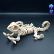 img_Chemeleon_007.jpg SKELETON CHAMELEON - ARTICULATED - PRINT-IN-PLACE - FLEXI