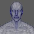 wireframe3.JPG Anatomically correct muscular male body Low and High Poly Low-poly 3D model