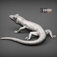 Day-Gecko-1.jpg Day Gecko 3D print model