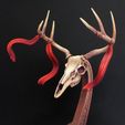 Skull.jpg Odin