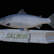 Salmon-statue-17.png Atlantic salmon / salmo salar / losos obecný fish statue detailed texture for 3d printing