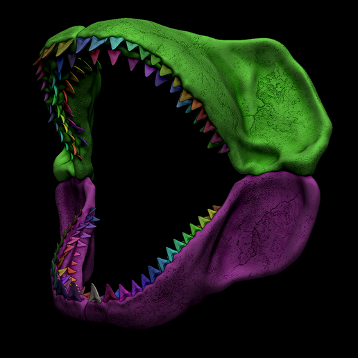 8.png Megalodon Shark Jaw