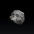 fsd5dfs5f4df2sd12f1sd21f21sd2fs45d54d.jpg Кольцо для сцепления черепов 3D печать модели
