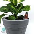 Folie5.jpg Self-Watering Plant Pot with a Gentleman Earthworm Companion