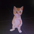 WhatsApp-Image-2025-12-03-at-20.17.41_a474dafd.jpg Funny Cat meme - Realistic 3D - STL