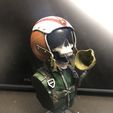 IMG_8447.jpg Skull pilot bust