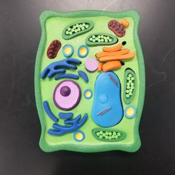 20230915_131519.jpg Fichier 3D Casse-tête de cellules végétales en résine・Plan imprimable en 3D à télécharger