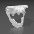 dentadura5.png Articulated jaw / articulated jaw