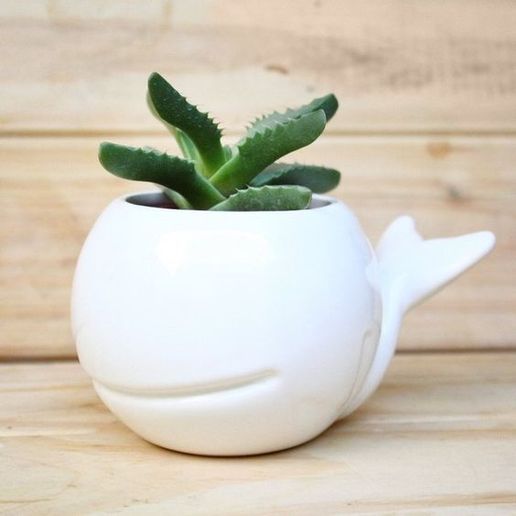 be127bd432243bbc33c49c8f3b251032.jpg vaso per balene