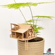 IMG_20231109_152510~2WZ.jpg Tiny Treehouse "the Home", mini treehouse