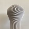 IMG_6678.jpg Twisted Vase Lamp/Lampara Espiralizada