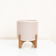 3.png MODERN JAPANDI STYLE PLANT POT WITH LINES