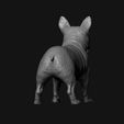 11.jpg French Bulldog model 3D print model