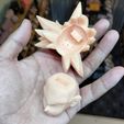 IMG20230924061122.jpg Goku Head Sculpt For Action Figures 1/6