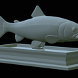 Rainbow-trout-statue-34.png fish rainbow trout / Oncorhynchus mykiss open mouth statue detailed texture for 3d printing
