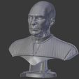Picard3.jpg Star Trek Jean Luc Picard Bust