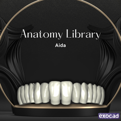 Aida.png Datei 3D Zahnärztliche Bibliothek Aida・Design für 3D-Drucker zum herunterladen