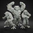 05.png Battletoads