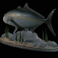 Greater-Amberjack-statue-1-15.png fish greater amberjack / Seriola dumerili statue underwater detailed texture for 3d printing