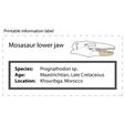 prognathodon_label.jpg STL file Mosasaur Jaw・3D printable model to download