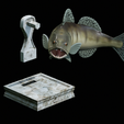 zander-trophy-30.png zander / pikeperch / Sander lucioperca fish in motion trophy statue detailed texture for 3d printing