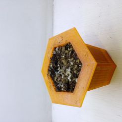 20160220_215052.jpg Бесплатный STL файл Little Garden Starter pack (large seed edition)・Объект для скачивания и 3D печати