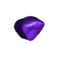output_Neighbor tooth_13.stl Dental models with removable dies