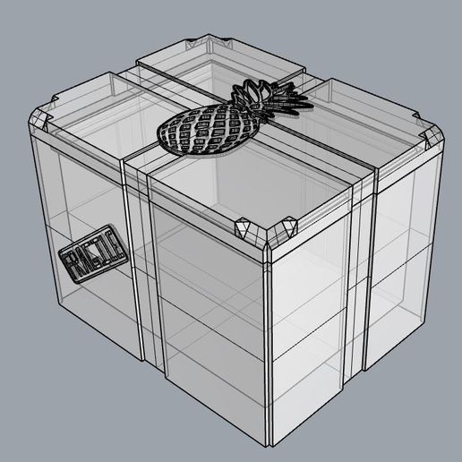 pineapple box ghosted.JPG Pineapple Storage Box