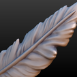 feather-008.png Feather