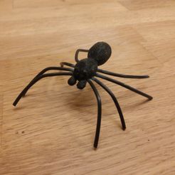 Picture (1).jpg STL file Spider・Model to download and 3D print