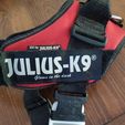 IMG_20190505_132420.jpg buckle Julius K9