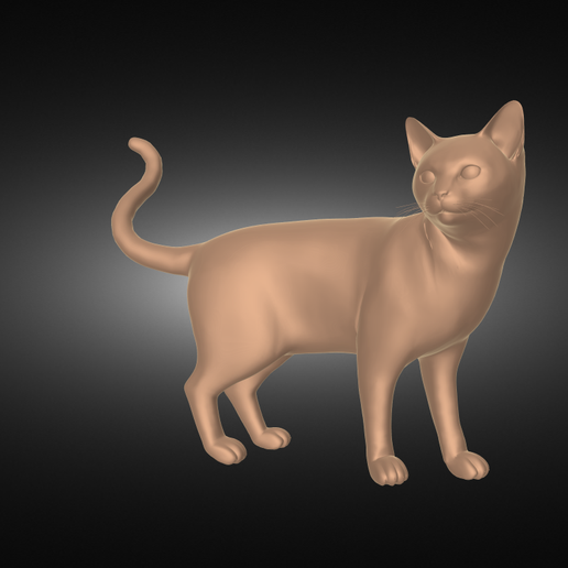 Без-названия-render.png chat