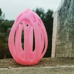 IMG_20180401_083139_585.jpg Free 3D file GeoDroidJohn TronXY X1 files for Maker's Muse Egg Torture Test・3D print object to download
