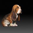 HushPuppy_Seat_03.jpg BASSET HOUND (sitting pose)-STL & VRML Color Format - HUSH PUPPY - DOG BREED - sitting pose - 3D PRINT MODEL