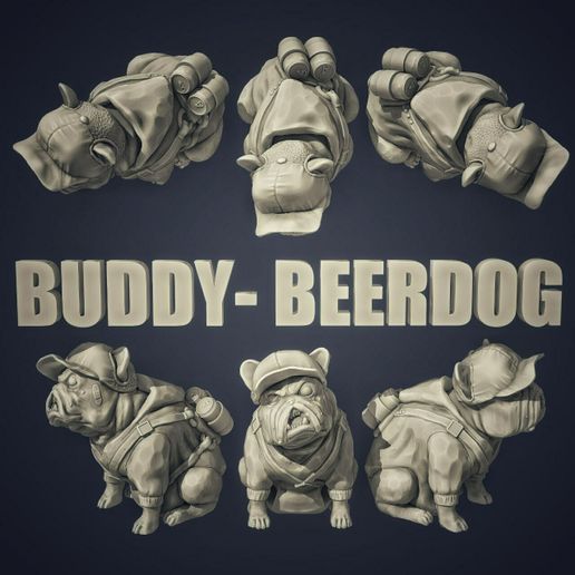 photo_2023-07-12_12-18-41.jpg Perro de fiesta