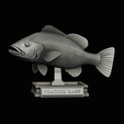 peacock-bass-trophy-1-1-17.png Peacock bass (Cichla ocellaris) fish in motion trophy statue for 3d printing