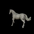 20.jpg American Quarter Horse model 3D print model